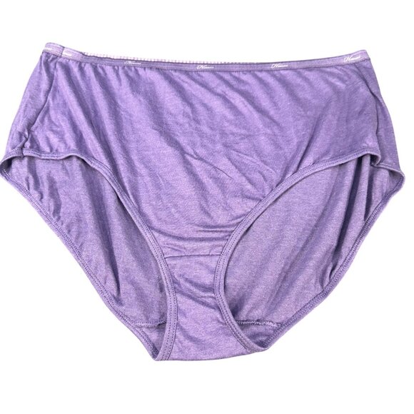Hanes Womens Size 12 Panty Brief Full Coverage Purple New Without Tags - Picture 1 of 6